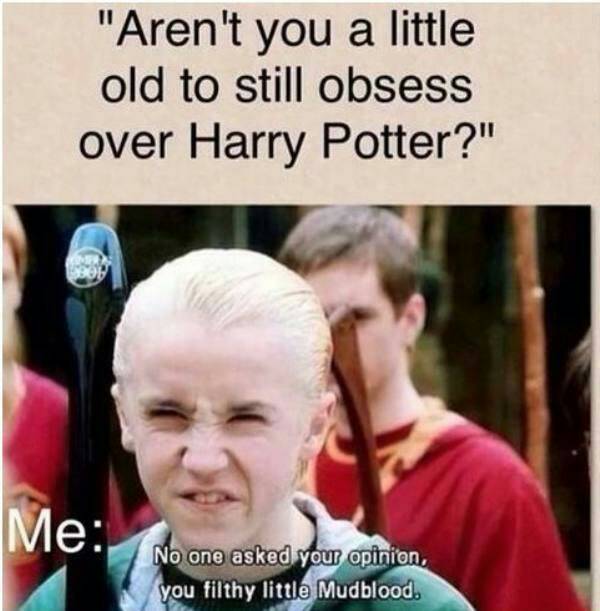 Harry Potter Memes Part 6 